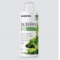 Антиоксидант ENDORPHIN CHLOROPHYLL BIO 500 мл