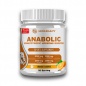 Аминокислота LeoLegacy Anabolic 200 гр