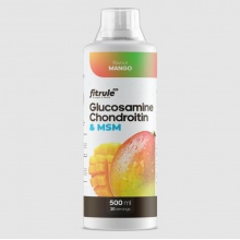 Хондропротектор FitRule Glucosamine + Chondroitine + MSM 500 мл